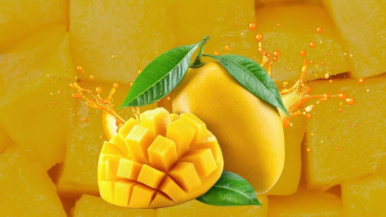 Delhi Mango Festival Opens at Dilli Haat Janakpuri